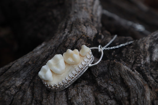 Reserved for Cora - Raccoon Skull Fragment Necklace - .925 Sterling Silver