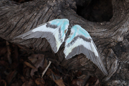 Dry Preserved Parakeet Wings