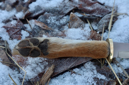 Coyote Paw Knife