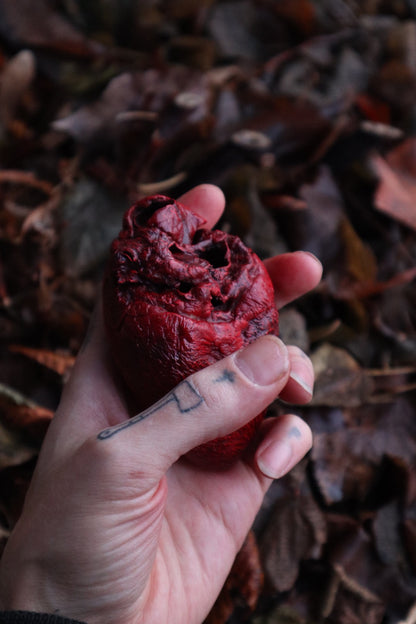 Dry Preserved Mountain Lion Heart