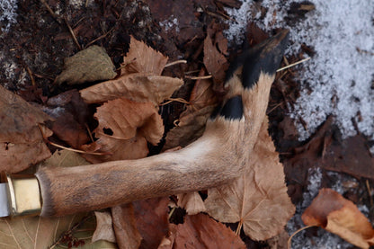 Whitetail Deer Hoof Hatchet