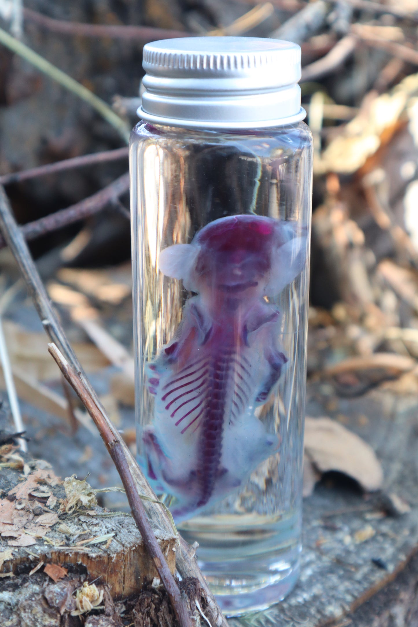Reserved for Kat - Diaphonized Opossum Joey
