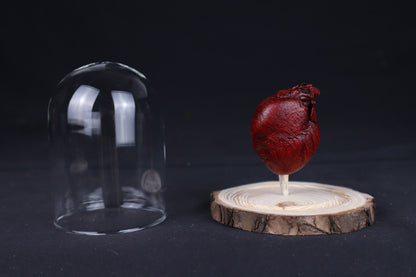 Reserved for Sam - Dry Preserved Red Fox Heart in Glass Dome