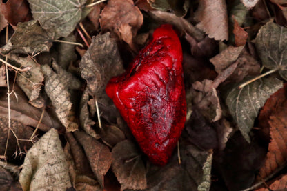 Dry Preserved Lamb Heart