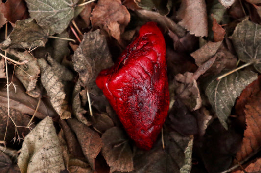 Dry Preserved Lamb Heart