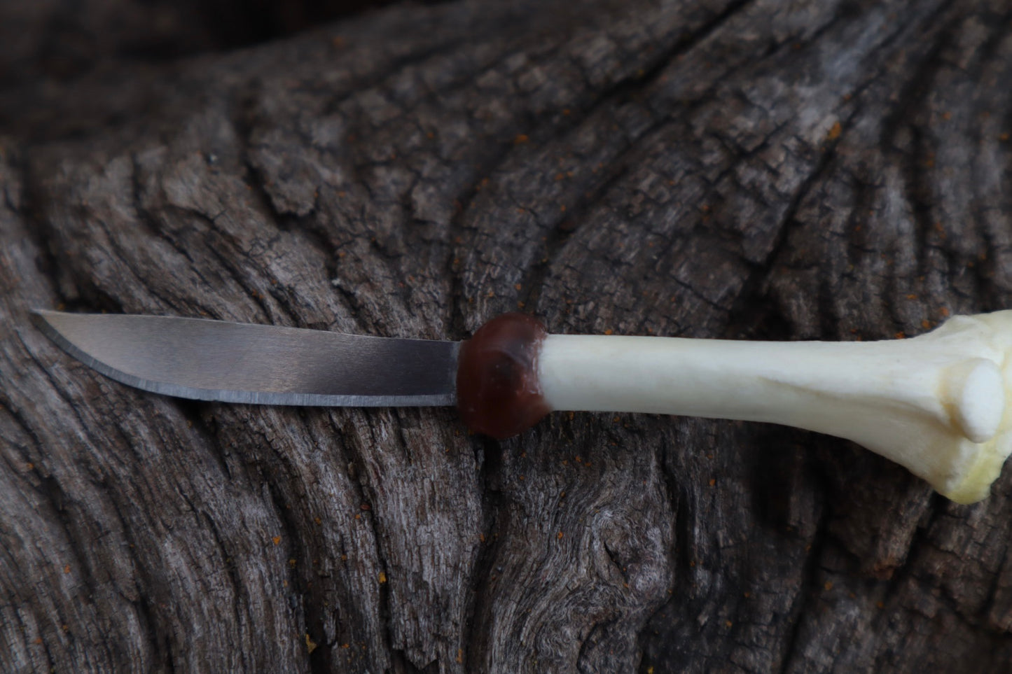 Kitten Tibia Knife