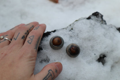 Reserved for Alexandra - Dry Preserved Greyhound Eyeballs
