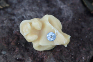 Cat Skull Candle - Natural Beeswax