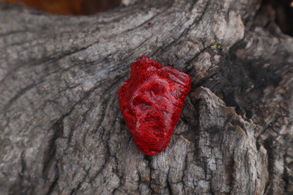 Dry Preserved Chicken Heart