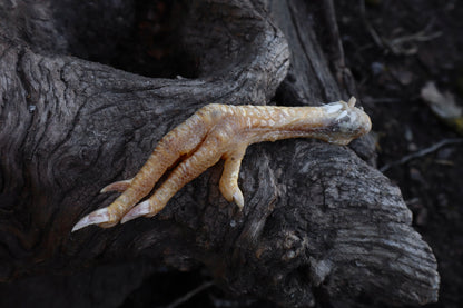 Dry Preserved Chicken Foot