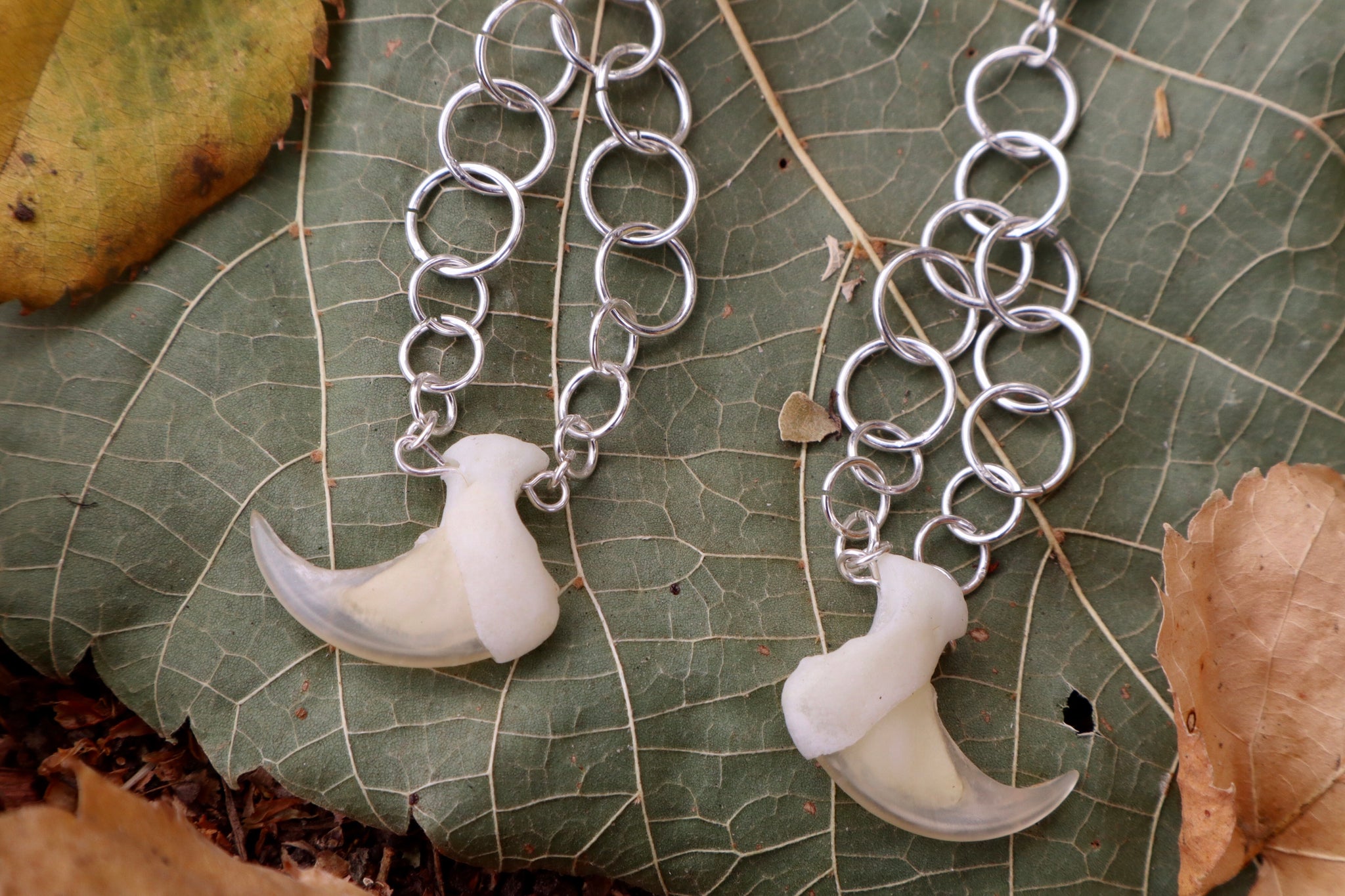 The Skogkatt Earrings - Mountain Lion Bone and Bobcat Claws