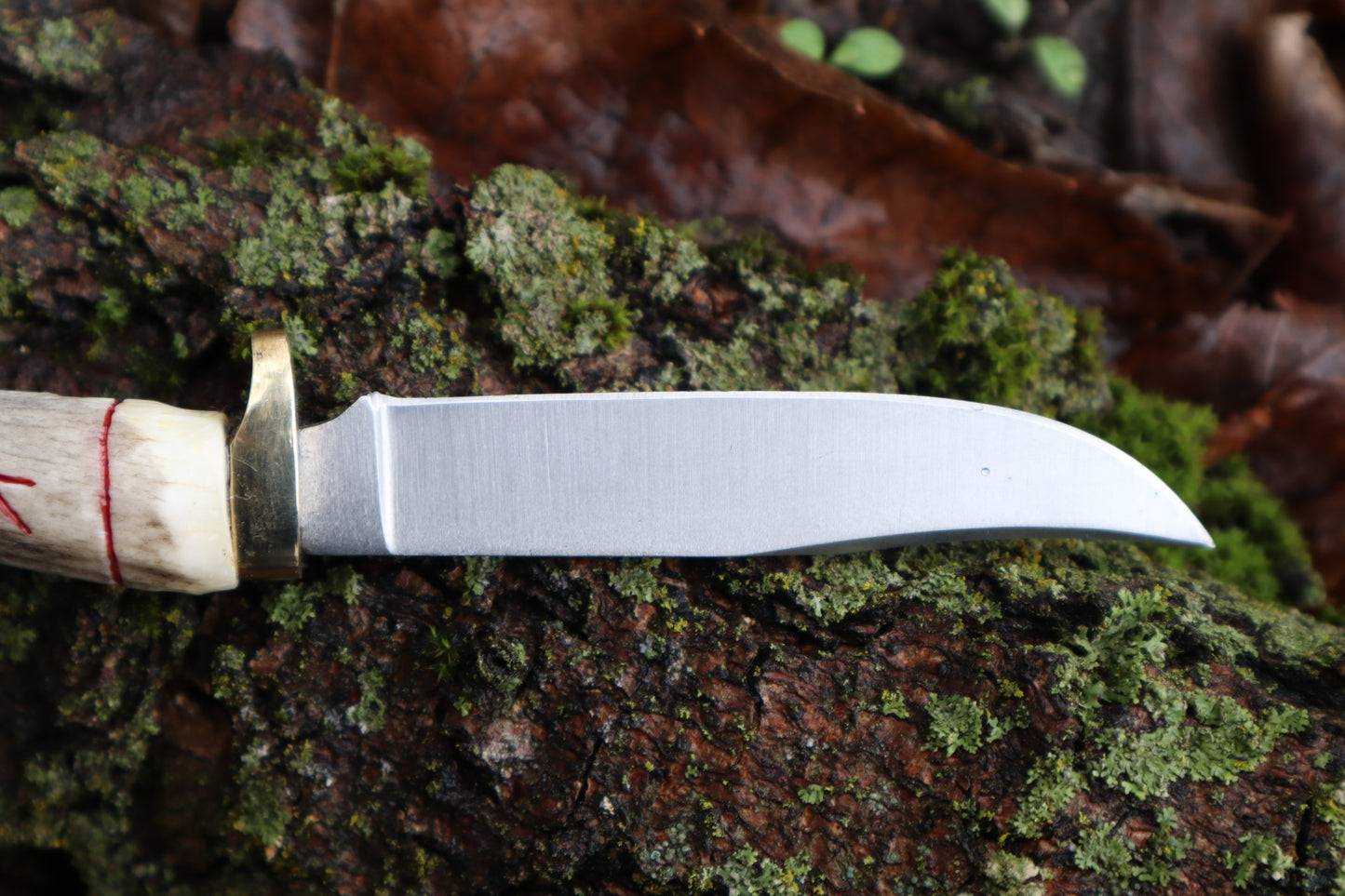 Reserved for stoner.witches - Whitetail Deer Antler Foraging Knife