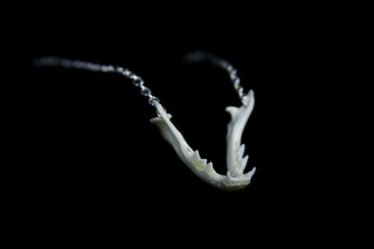Kitten Mandible Necklace