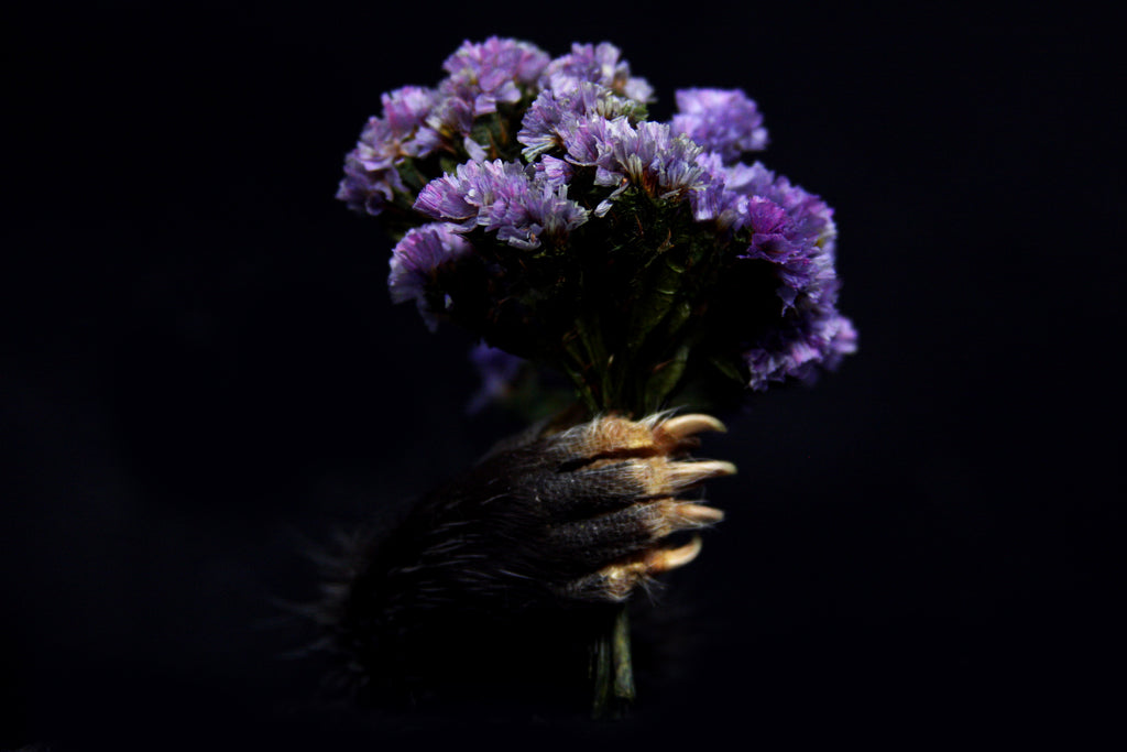 Opossum Hand Holder