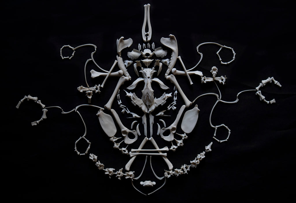 Craft Opossum Skeleton Lot