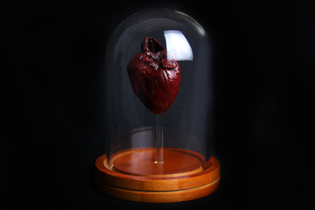 River Otter Heart Dome