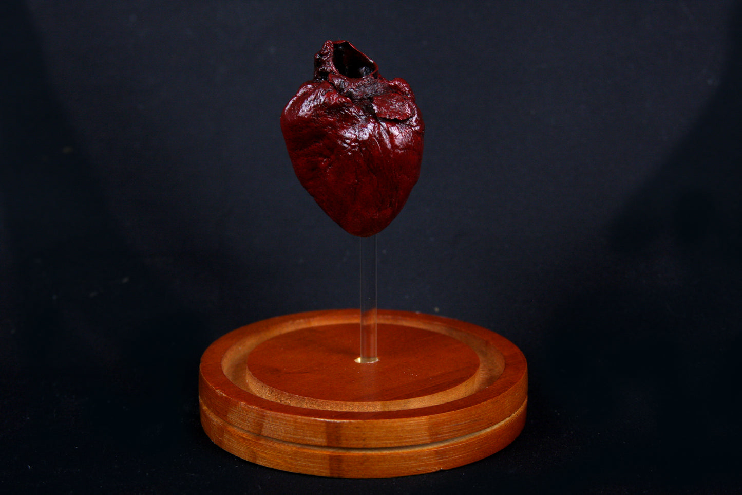 River Otter Heart Dome