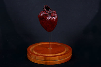 River Otter Heart Dome