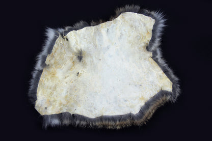 Domestic Rabbit Pelt