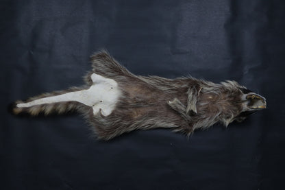 Raccoon Wall Hanger