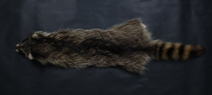 Raccoon Wall Hanger