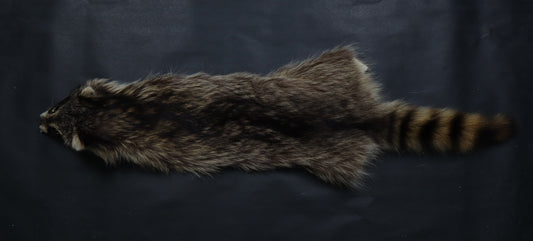 Raccoon Wall Hanger