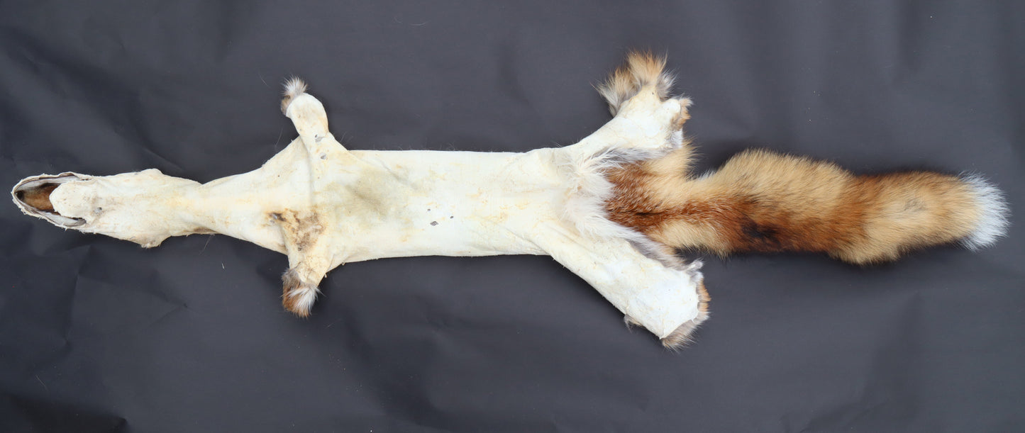 Red Fox Wall Hanger