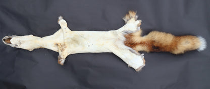 Red Fox Wall Hanger