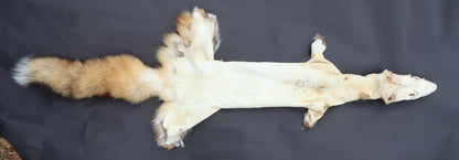 Red Fox Wall Hanger