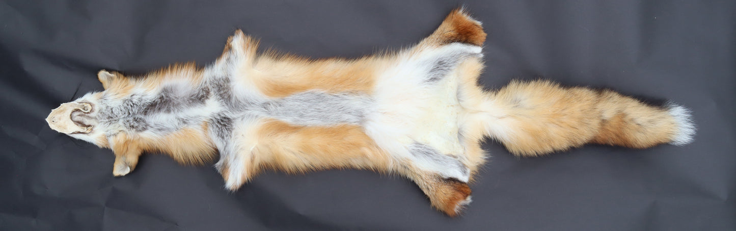 Red Fox Wall Hanger