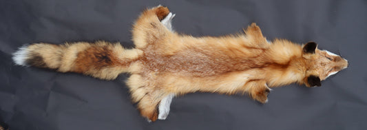 Red Fox Wall Hanger