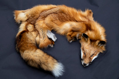 Red Fox Wall Hanger