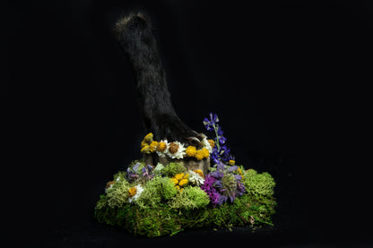 Red Fox Paw Pedestal