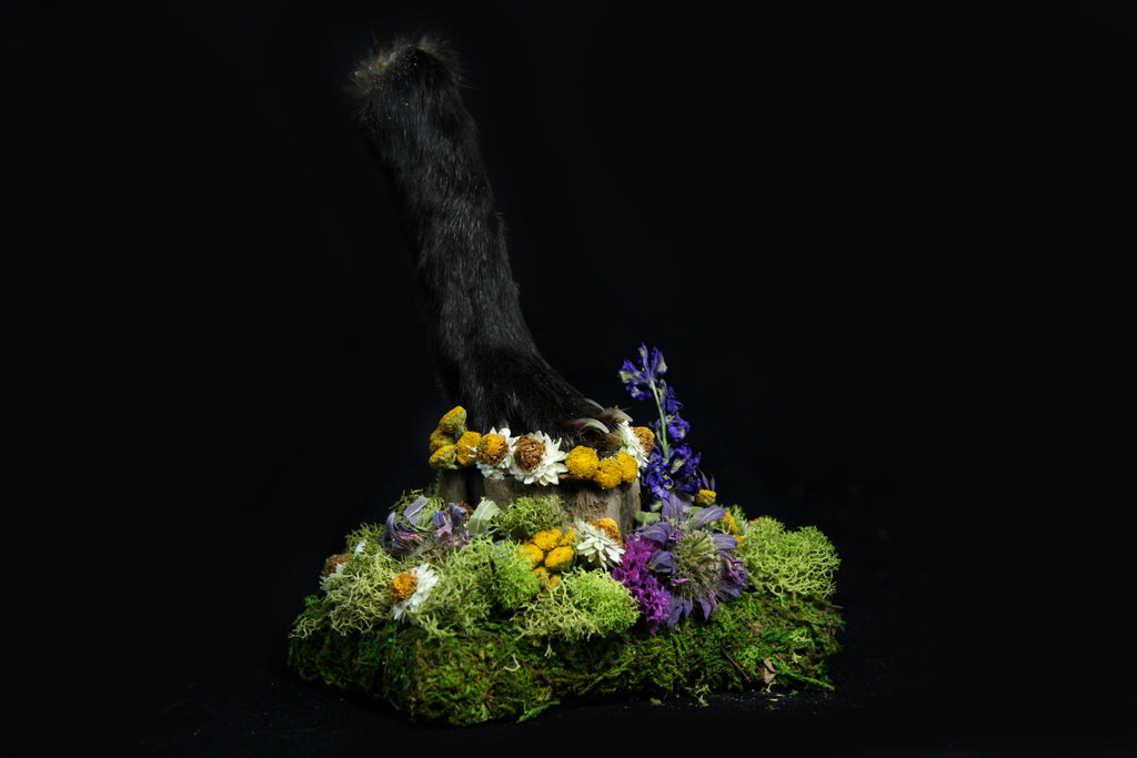 Red Fox Paw Pedestal