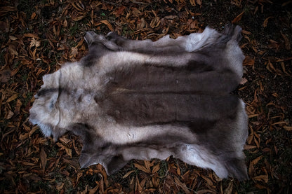 Soft Tanned Reindeer Pelt