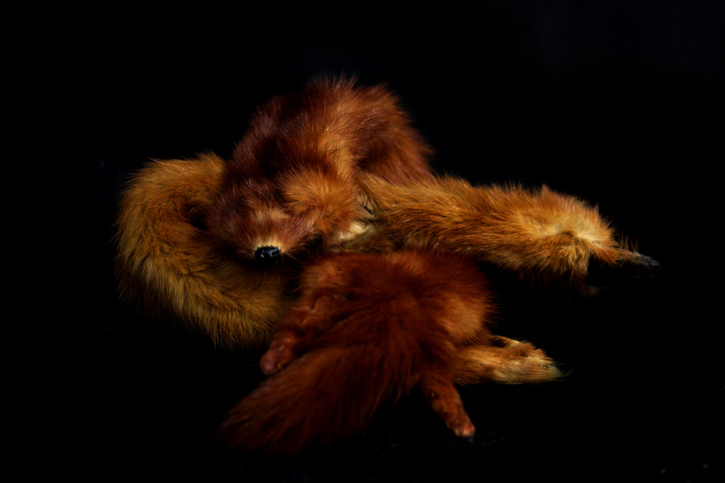 Mink Pelts