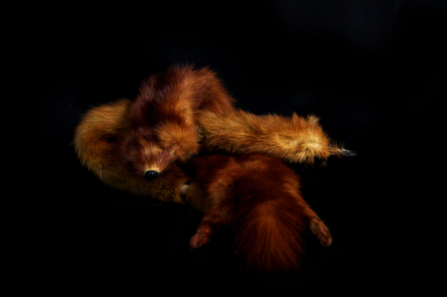 Mink Pelts