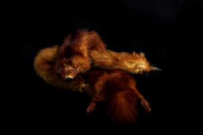 Mink Pelts